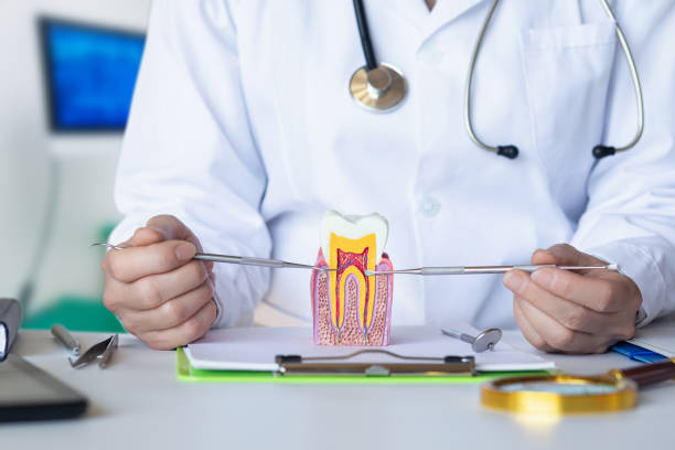 Best Weekend Emergency Dentist in Wichita Falls, TX